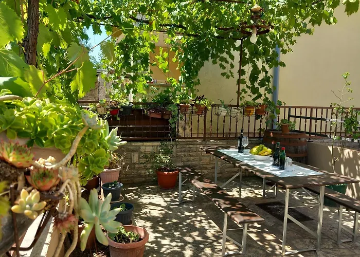 Apartment Oli