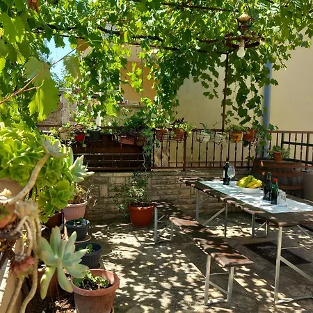 Appartamento Oli