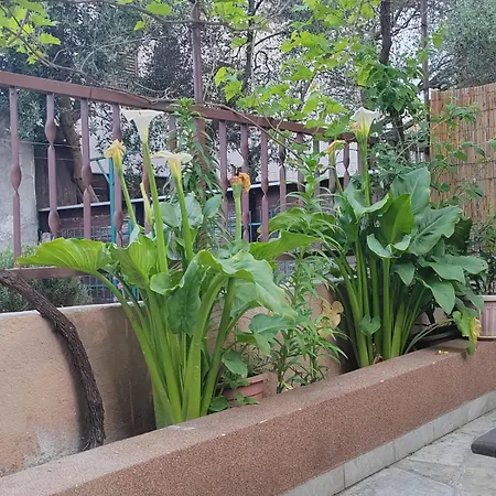 Apartman Oli Zadar